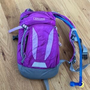 CamelBak Magenta and Gray Hydration Backpack